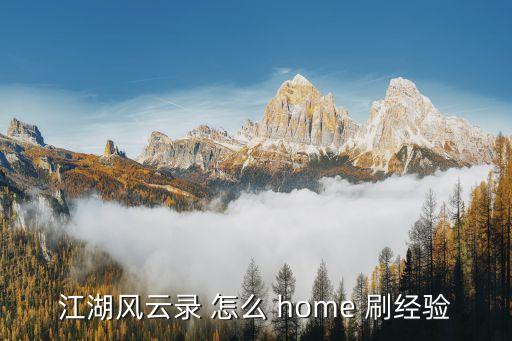 江湖风云录 怎么 home 刷经验