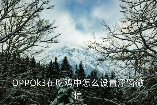 吃鸡手游微信界面怎么改，吃鸡一不小心点成这个样子了怎么办变成窗口了