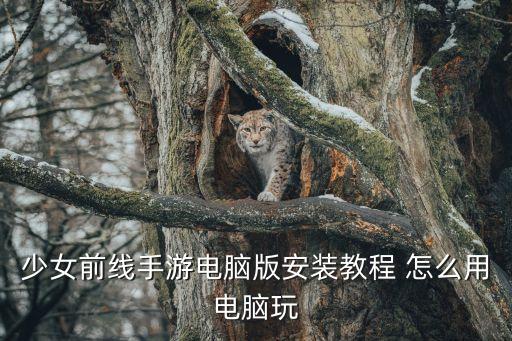少女前线手游电脑版安装教程 怎么用电脑玩