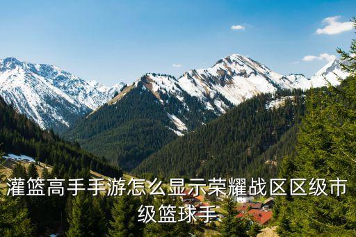 灌篮高手手游怎么显示荣耀战区区级市级篮球手