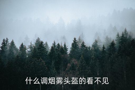 什么调烟雾头盔的看不见