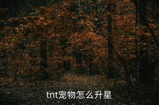 手游喵卫怎么升级3星，天天爱消除宠物版如果抽到3星宠物怎样升级啊我抽到了但是没法