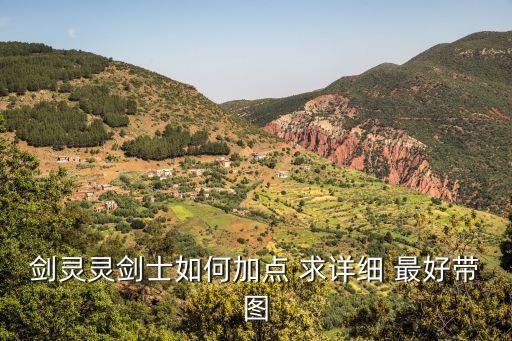 剑灵灵剑士如何加点 求详细 最好带图