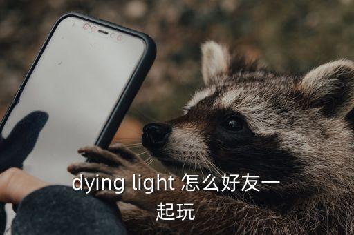 dying light 怎么好友一起玩