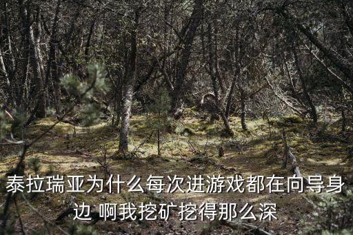 泰拉瑞亚为什么每次进游戏都在向导身边 啊我挖矿挖得那么深