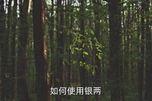 如何使用银两