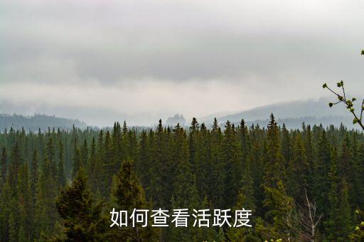 如何查看活跃度