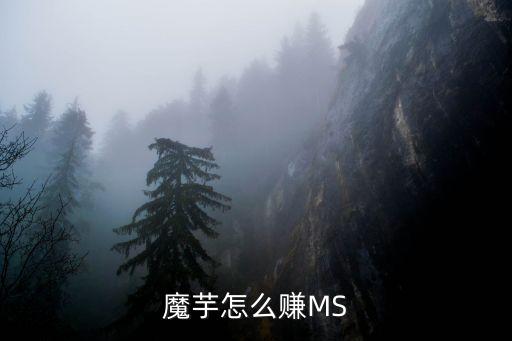 魔芋怎么赚MS