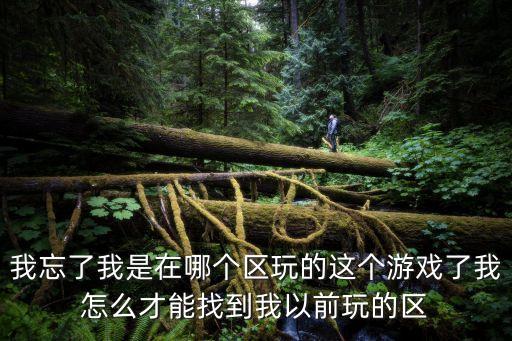 我忘了我是在哪个区玩的这个游戏了我怎么才能找到我以前玩的区