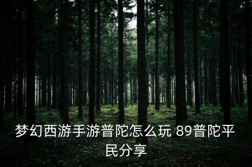 平民玩梦幻手游普陀怎么样，梦幻西游手游普陀怎么样 普陀攻略