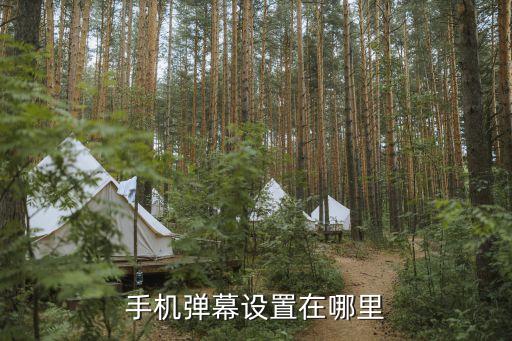 手机弹幕设置在哪里