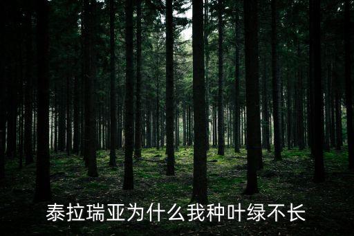 泰拉瑞亚为什么我种叶绿不长