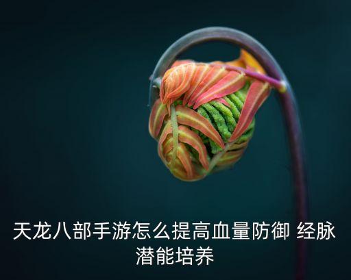 天龙八部手游怎么提高血量防御 经脉潜能培养