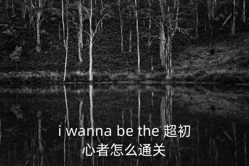 i wanna be the 超初心者怎么通关