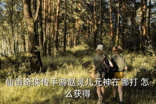 仙剑奇侠传手游赵灵儿元神在哪打 怎么获得