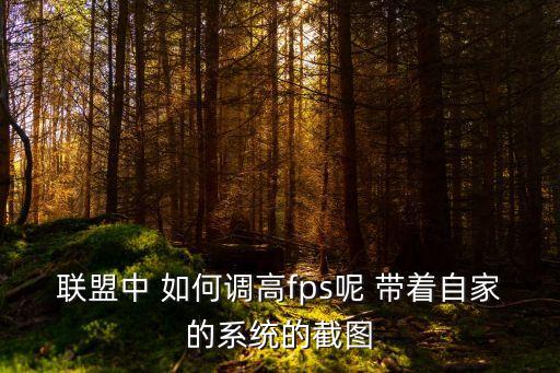 联盟中 如何调高fps呢 带着自家的系统的截图