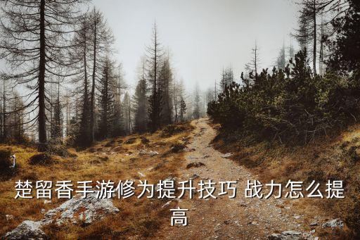 楚留香手游王者之力怎么打，楚留香手游战力怎么提升 平民战力提升攻略