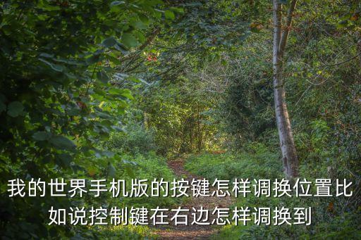 我的世界手机版的按键怎样调换位置比如说控制键在右边怎样调换到