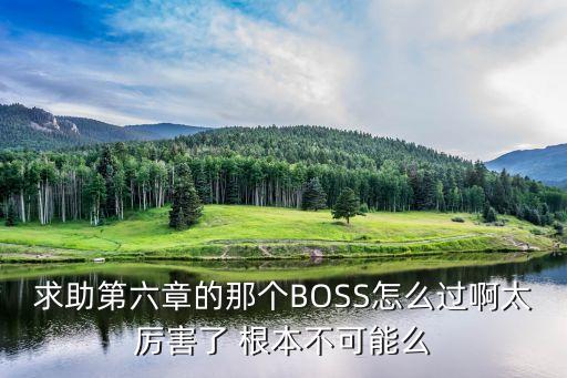求助第六章的那个BOSS怎么过啊太厉害了 根本不可能么