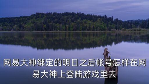 网易大神绑定的明日之后帐号怎样在网易大神上登陆游戏里去