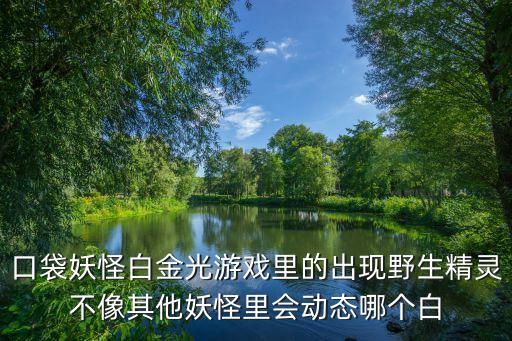 口袋妖怪白金光游戏里的出现野生精灵不像其他妖怪里会动态哪个白