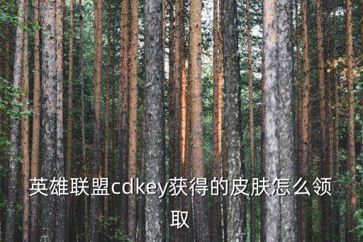 英雄联盟cdkey获得的皮肤怎么领取