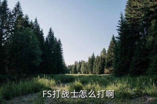 FS打战士怎么打啊