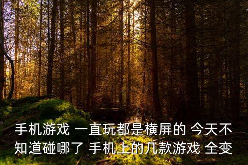 手游横屏改竖屏怎么弄，怎么把手机从横屏变竖屏