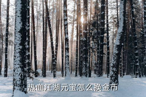 热血江湖手游金币怎么兑换，金币怎么兑换