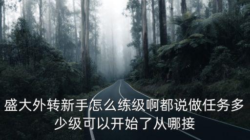盛大外转新手怎么练级啊都说做任务多少级可以开始了从哪接