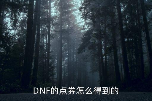 DNF的点券怎么得到的