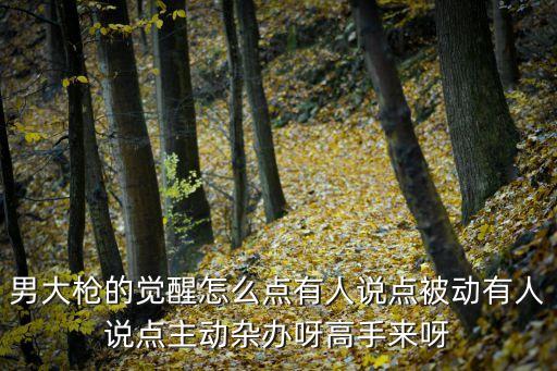 男大枪的觉醒怎么点有人说点被动有人说点主动杂办呀高手来呀