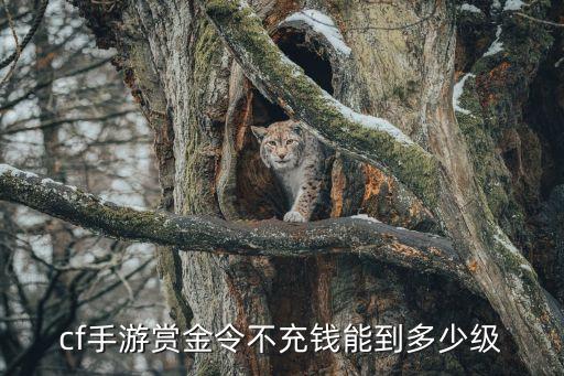cf手游赏金令不充钱能到多少级