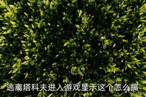 逃离塔科夫进入游戏显示这个怎么搞