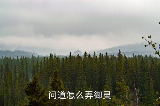 问道怎么弄御灵