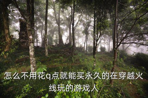 怎么不用花q点就能买永久的在穿越火线玩的游戏人