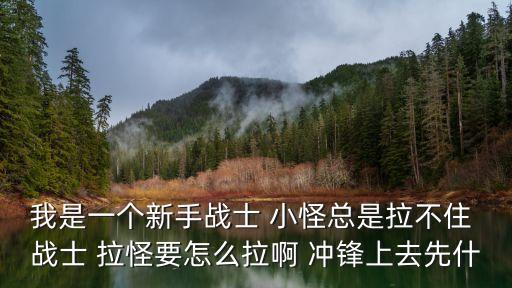 我是一个新手战士 小怪总是拉不住 战士 拉怪要怎么拉啊 冲锋上去先什