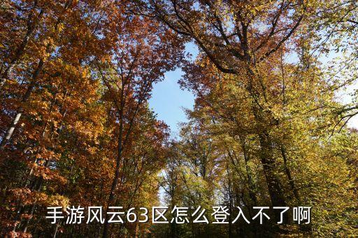 手游风云63区怎么登入不了啊