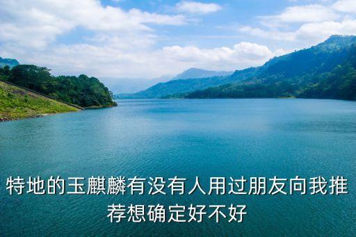 特地的玉麒麟有没有人用过朋友向我推荐想确定好不好