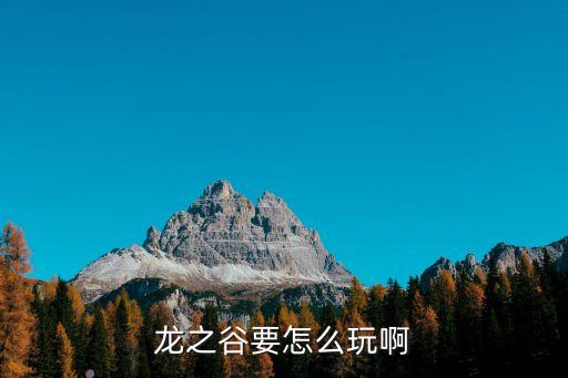 龙之谷要怎么玩啊