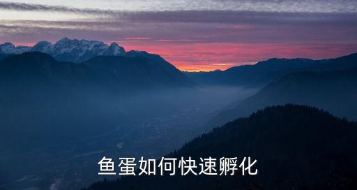 鱼蛋如何快速孵化