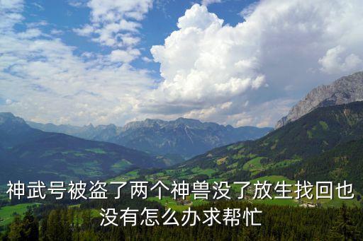 神武4手游神兽没了怎么办，神武号被盗了两个神兽没了放生找回也没有怎么办求帮忙