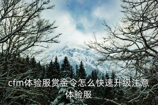 cfm体验服赏金令怎么快速升级注意体验服