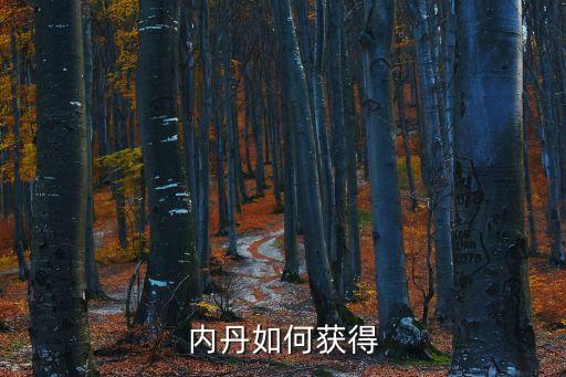 内丹如何获得