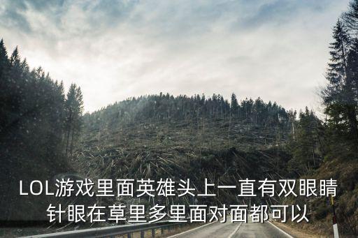 LOL游戏里面英雄头上一直有双眼睛针眼在草里多里面对面都可以