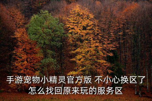 手游宠物小精灵官方版 不小心换区了怎么找回原来玩的服务区