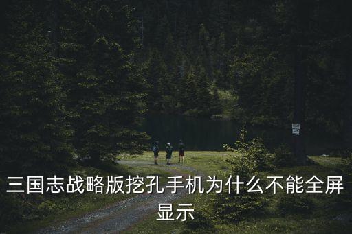 三国志战略版挖孔手机为什么不能全屏显示