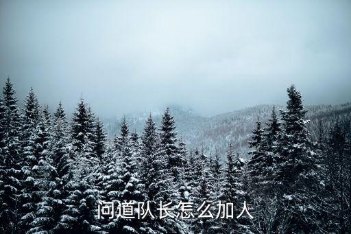 问道队长怎么加人