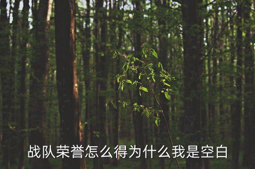 英雄联盟手游战队称号怎么得，怎么让战队名称出来