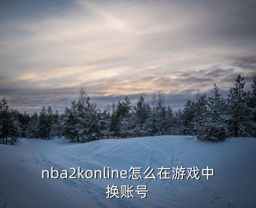 nba2k21手游怎么换号，新手刚玩想知道怎么切换账号啊第一抽了个美